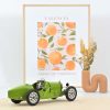 Bugatti T35 1925 Vert Olive 1/12 - 100pcs – Image 2