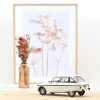 Citroën Ami Super 1974 Blanc Meije 1/18 – Image 2