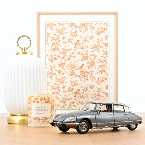 Citroën DS 23 Pallas 1972 Gris métallisé 1/18 - 400pcs