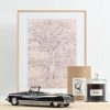 Citroën DS 21 Palm Beach 1968 Noir 1/18 – Image 2
