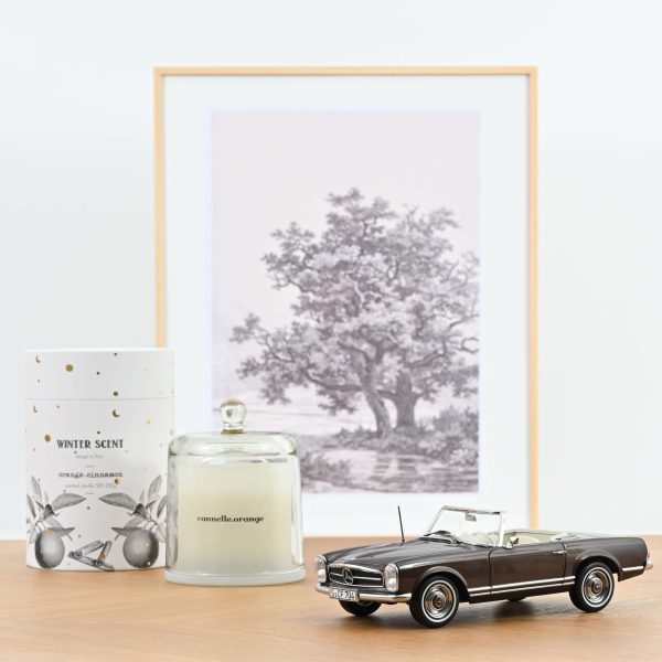 Mercedes-Benz 230 SL 1963 Bronze met 1/18 - 300pcs