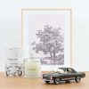 Mercedes-Benz 230 SL 1963 Bronze met 1/18 - 300pcs – Image 2