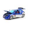 Peugeot 206 Bad Rider 1/18 – Image 2