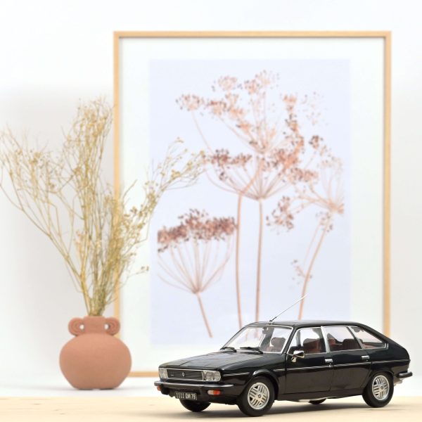 Renault 30 TX 1979 Noir 1/18 - 200pcs