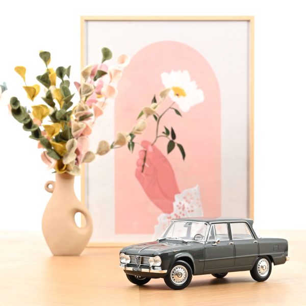 Alfa Romeo Giulia TI 1964 Gris Graphite 1/18 - 200pcs