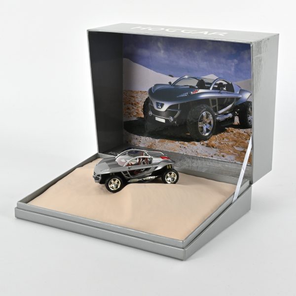 Peugeot Hoggar 2004 1/43